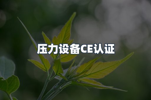 压力设备CE认证